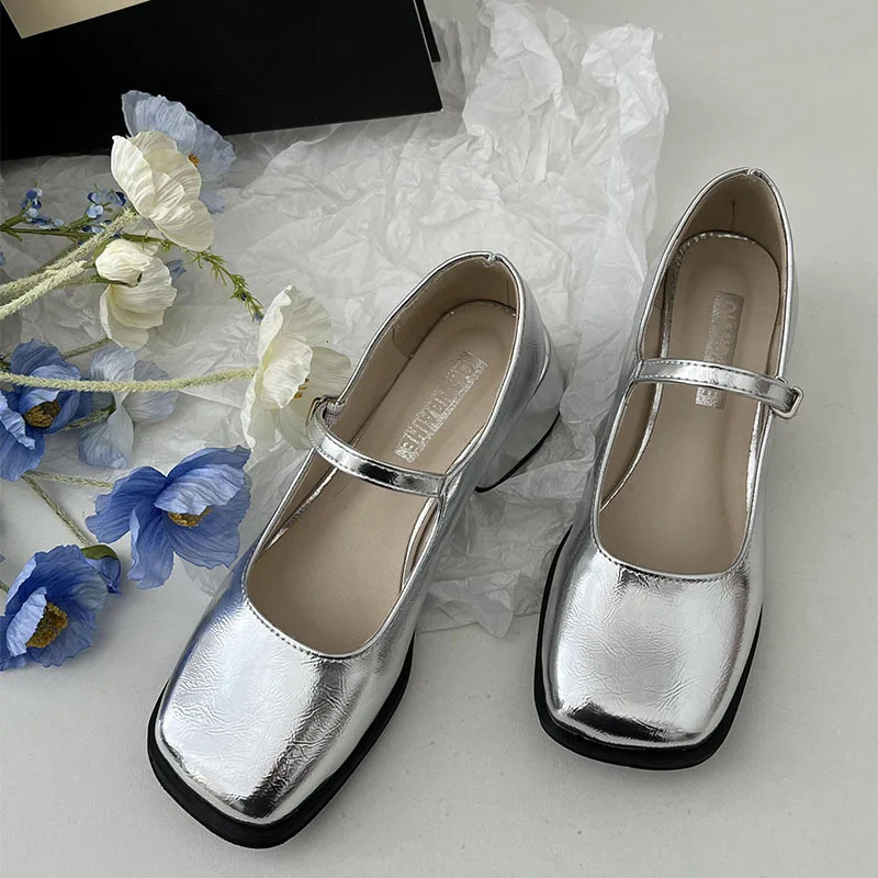 Women Square Toe Chunky Heel Shoes Women Autumn Silver Buckle Strap Mid Heels Mary Jane Shoes Ladies Dress Office Shallow Shoes 241112