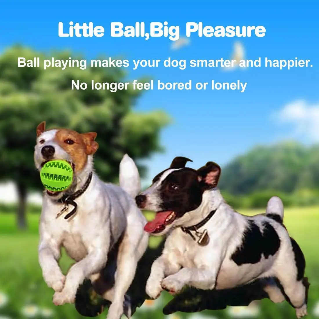 Pet Dog Toys Toy Funny Interactive Elasticity soft Ball Dog Chew Toy For Dog Tooth Clean Ball Food Extra-tough Rubber Ball Dogs