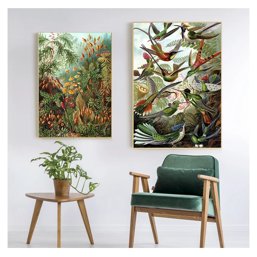 Palm Tree Prints Vintage Hummingbird Botanical Tropical Wall Art Canvas Painting Pictures Decor Ernst Haeckel Biology Posters
