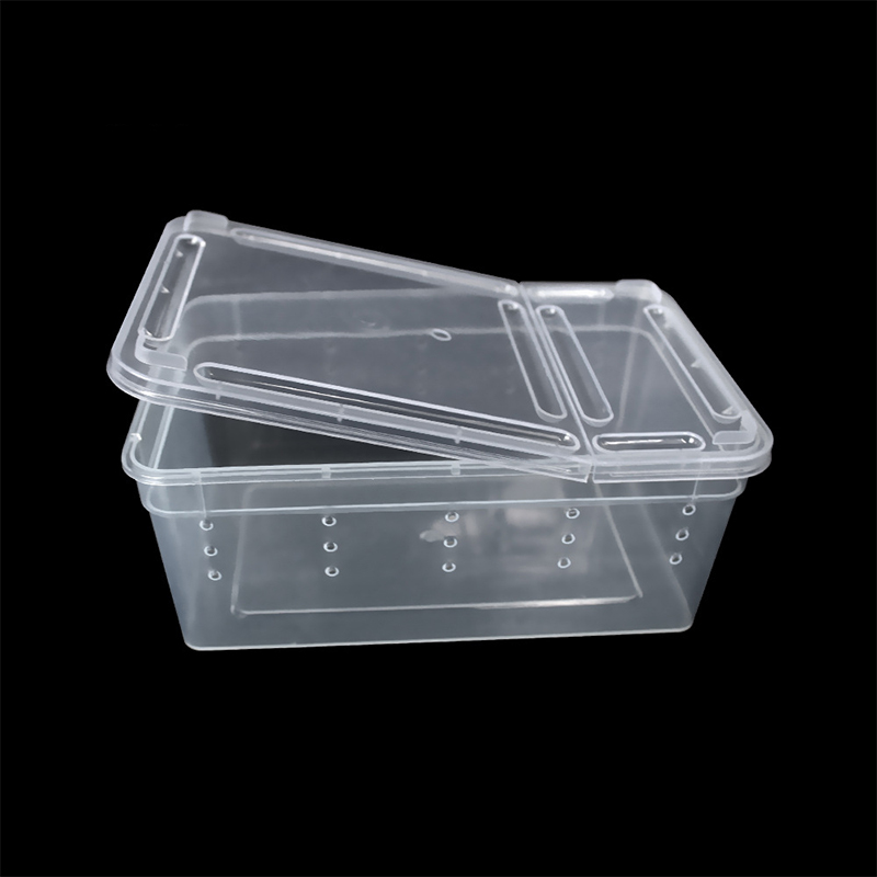 For Reptiles Spider Transparent Plastic Feeding Box Insect Food Feeding Container 19cmx12.5cmx7.5cm Terrarium