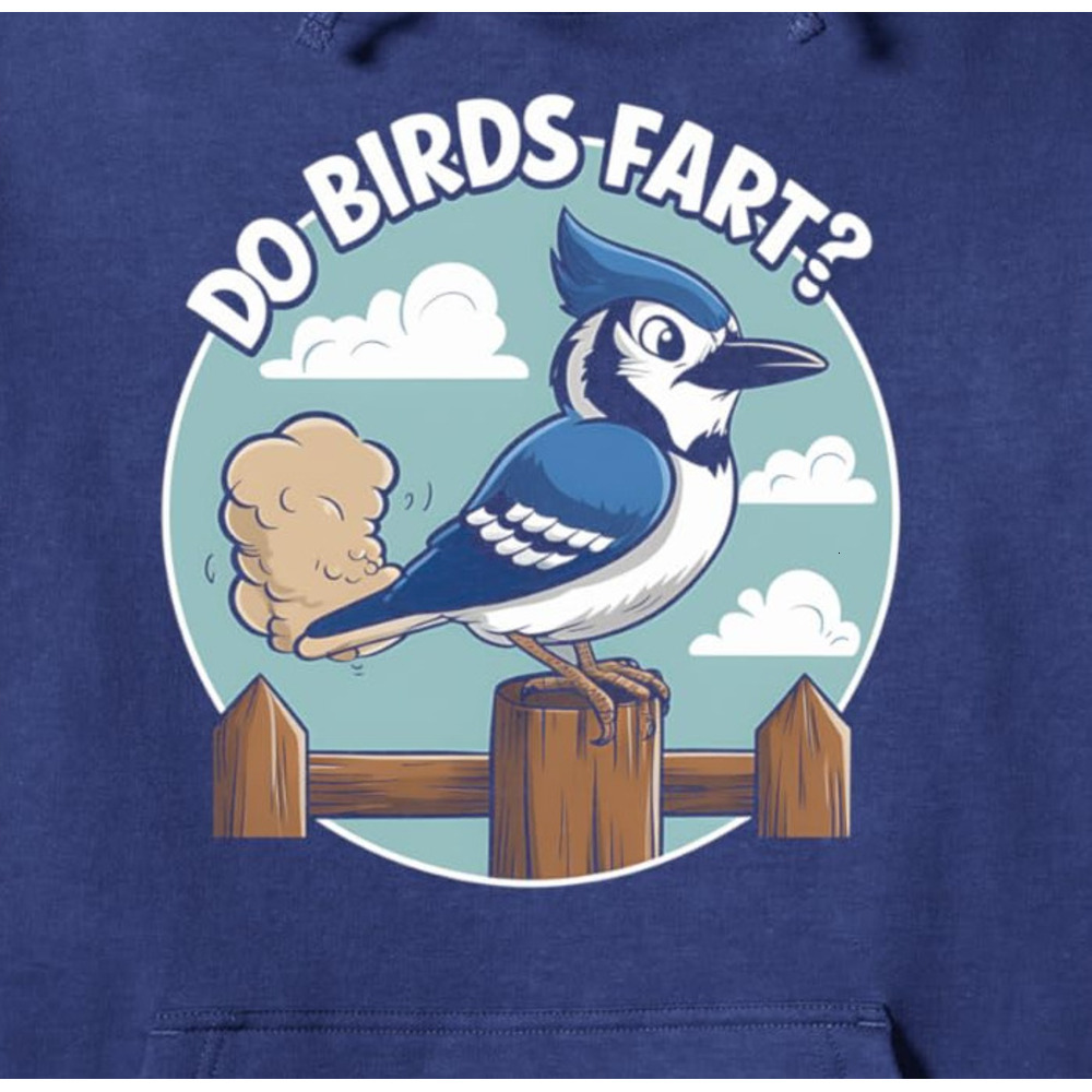 Hoodie for Mens Womens Birdwatching Jay Bird Funny Birdwatching Birder Gift Pullover Hoodie Graphic Hoodies sweatshirt