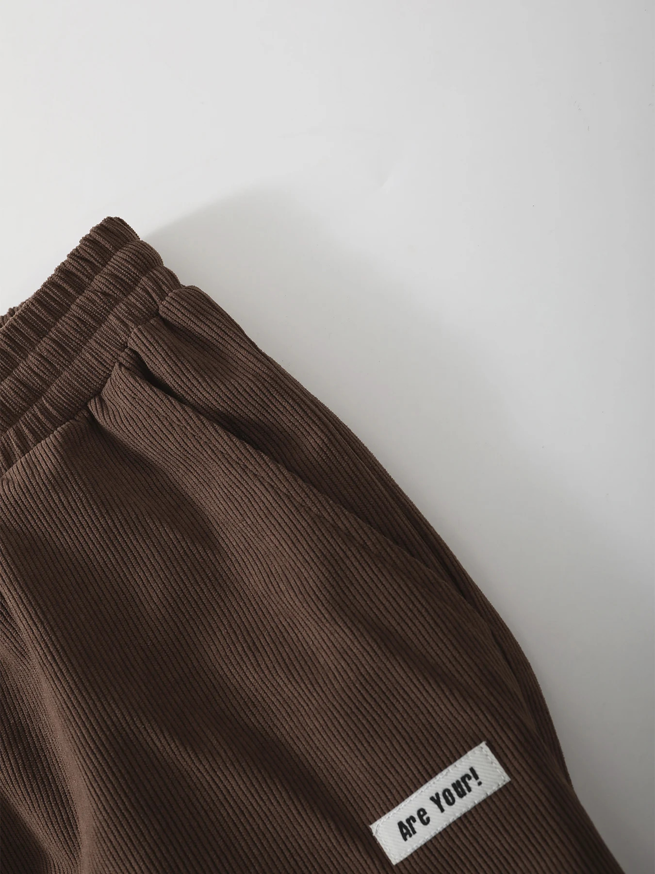 Mens Casual Regular Fit Full Length Drawstring Corduroy Pants Long Trouser with Character Cloth Label For Fall and Spring 241112