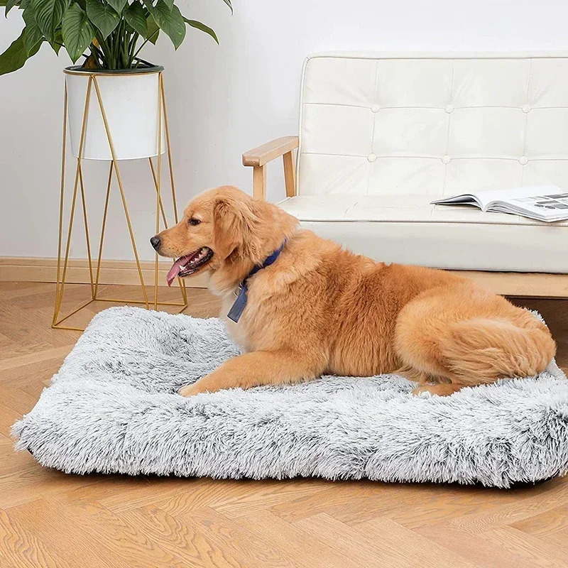 Super Soft Plush Dog Bed Mat Cat Beds for Small Medium Large Dogs Removable Cleaning Puppy Cushion Claming Pet 241111
