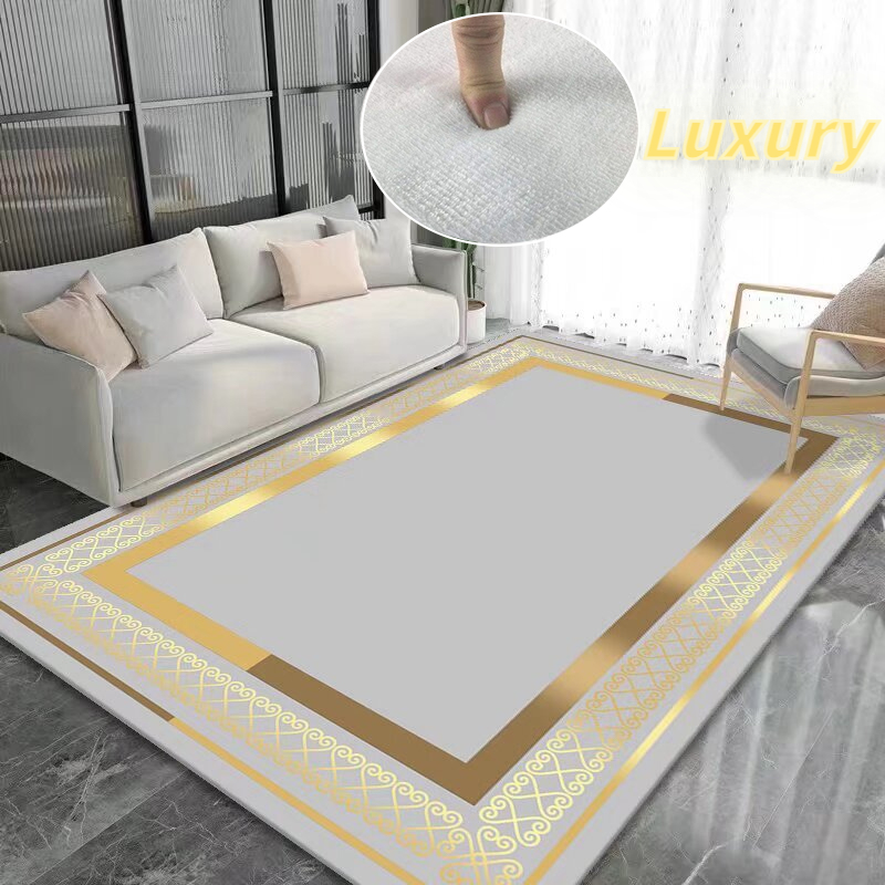 Luxury Gold Frame Carpets for Living Room Nordic Minimalist Geometric Sofa Area Rug Large Soft Non-slip Bedroom Carpet Floor Mat