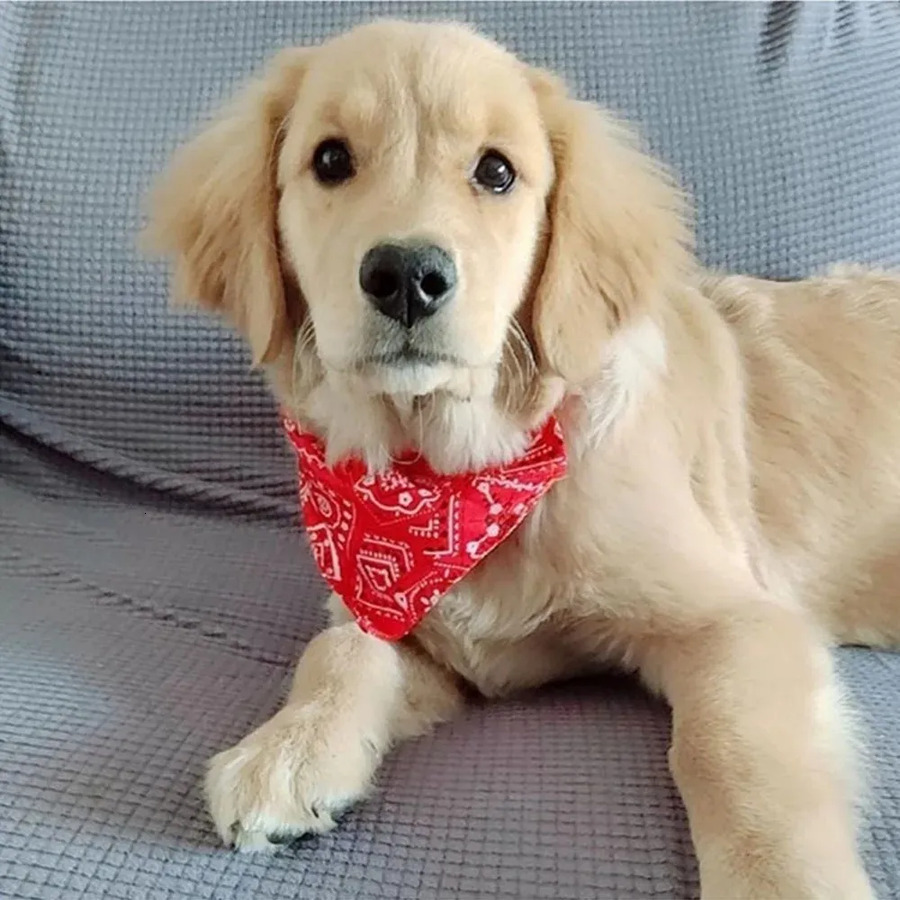 Bandana Scarf Adjustable Dog Bandanas Collar Puppy Cat Neckerchief Pet Accessories for Small Medium Large Dogs d75