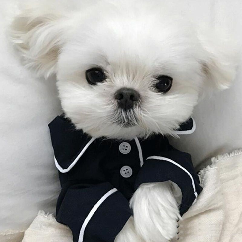 Summer French dog pajamas Pomeranian bear bullfighting small dog Teddy pet clothes shirt Feel Comfortable When Touched