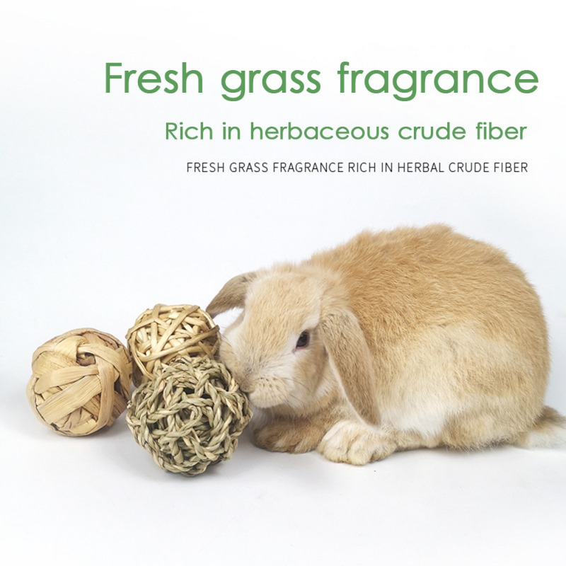 5PCS Rabbit Ball Toys Bunny Treats Toys For Teething Small Animal Chew Toys Grass Ball For Dwarf Hamster Rabbits Guinea Pigs Ger