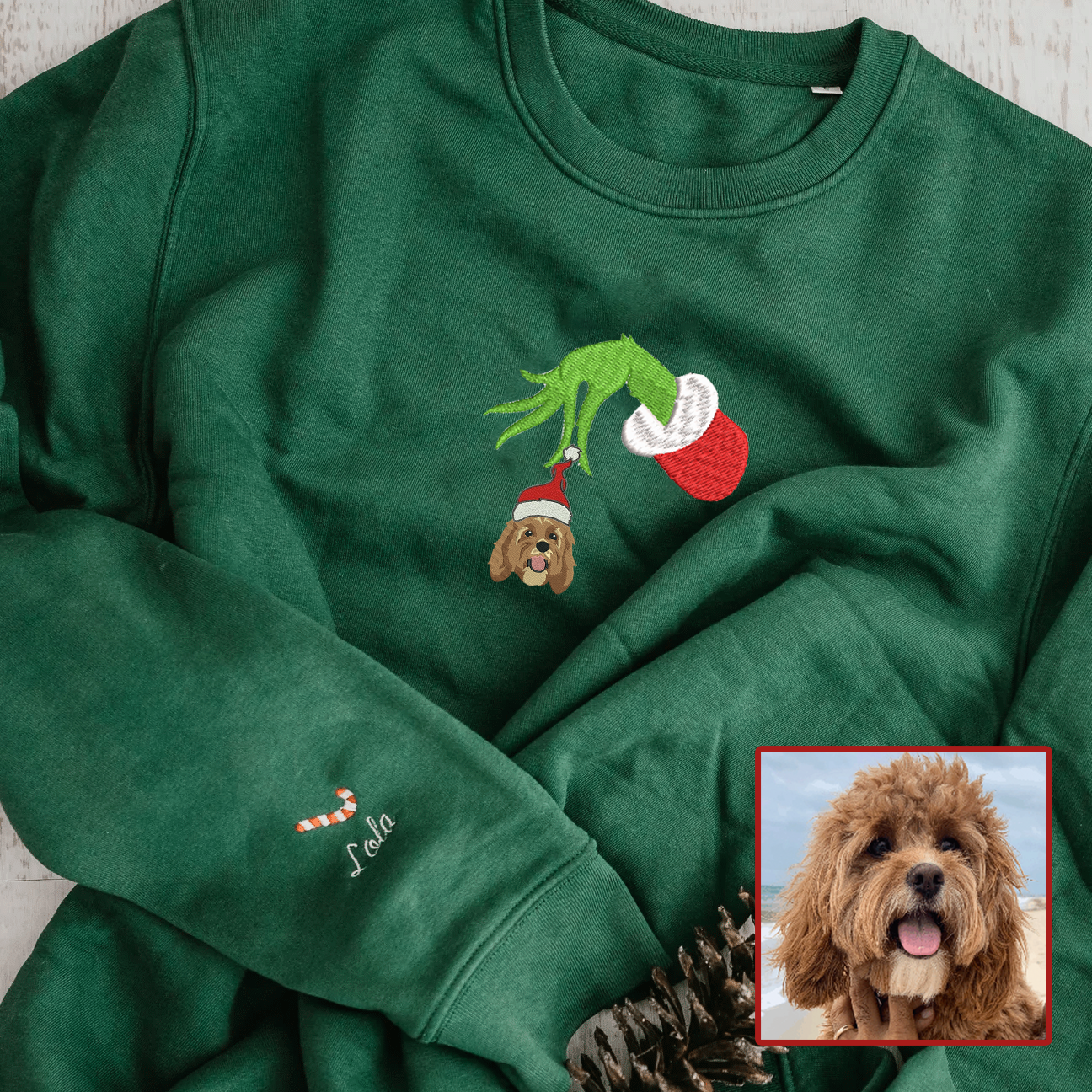 Personalized Embroidered Christmas The Pet Dog Cat Hoodie Sweatshirt