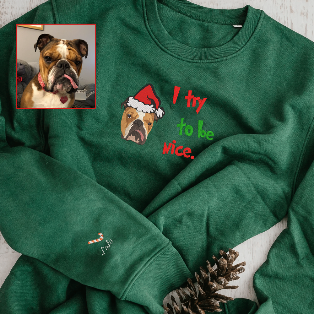 Personalized Embroidered Christmas The Pet Dog Cat Hoodie Sweatshirt