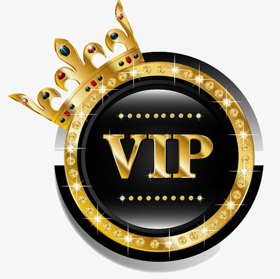 Super VIP Custom payment link wholesale high quality and low price