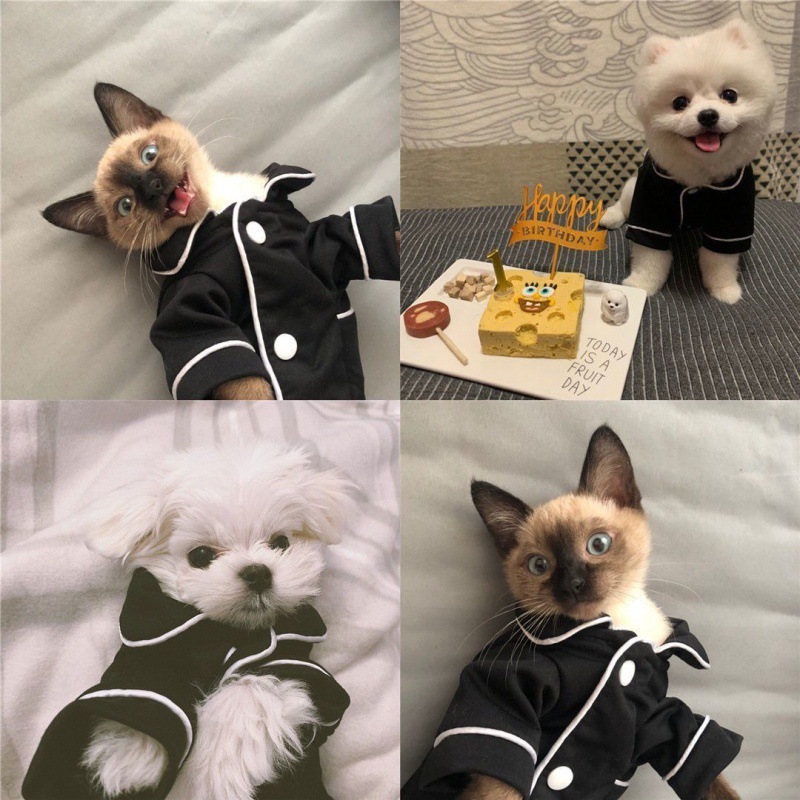Summer French dog pajamas Pomeranian bear bullfighting small dog Teddy pet clothes shirt Feel Comfortable When Touched