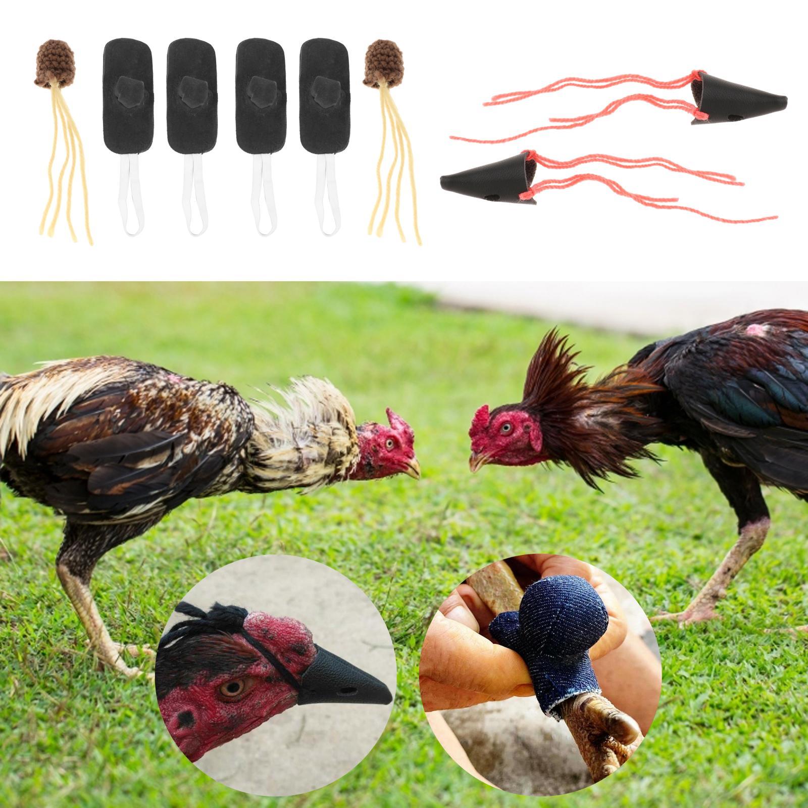 fighting Gamefowl Fighting Accessories Wrestling Farm Equipment Supplies Poultry Animals Fighting