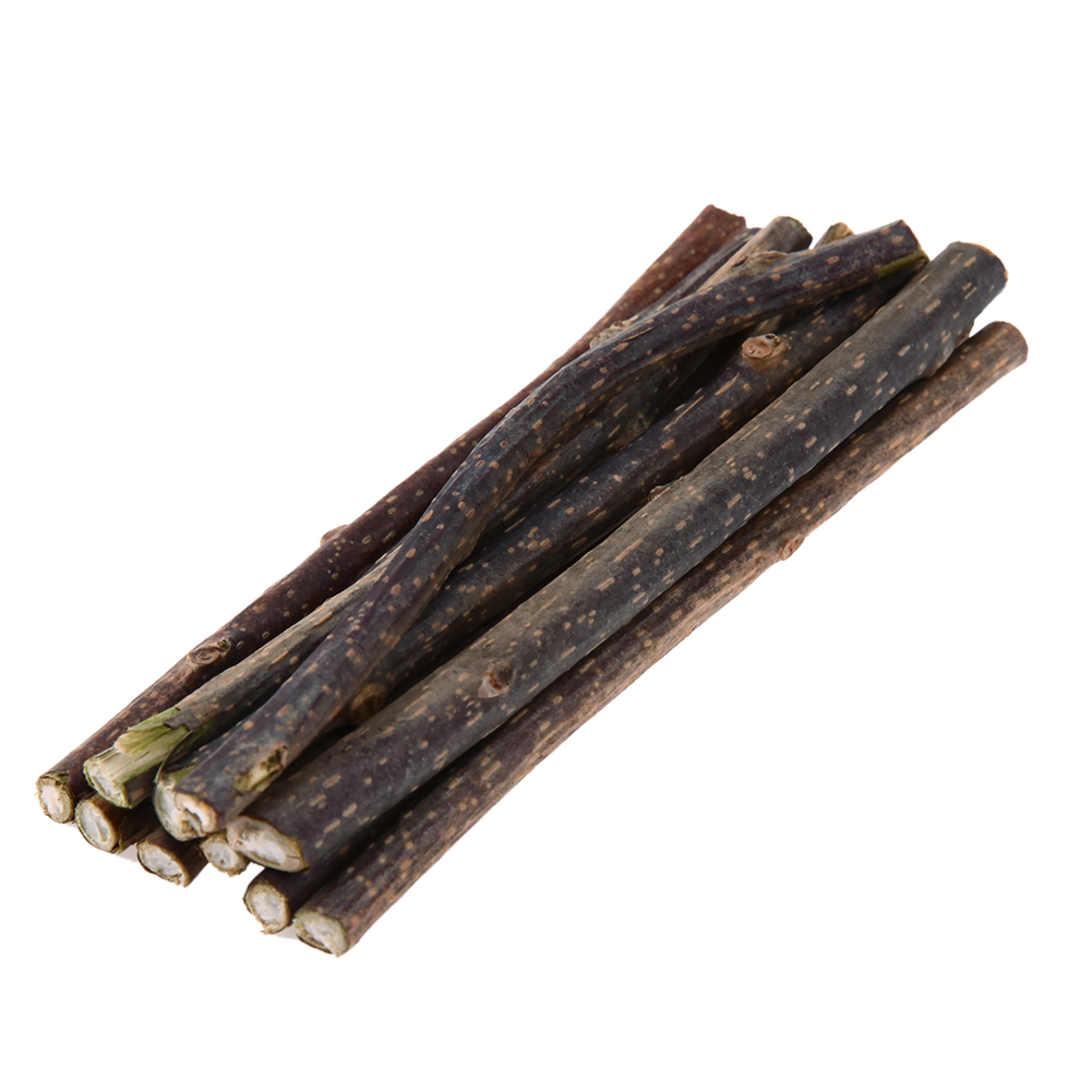 10/20/30/50 Pcs Natural Cat nip Pet Cat Molar Toothpaste Stick Actinidia Fruit Silvervine Cat Snacks Sticks Pet Cleaning Teeth