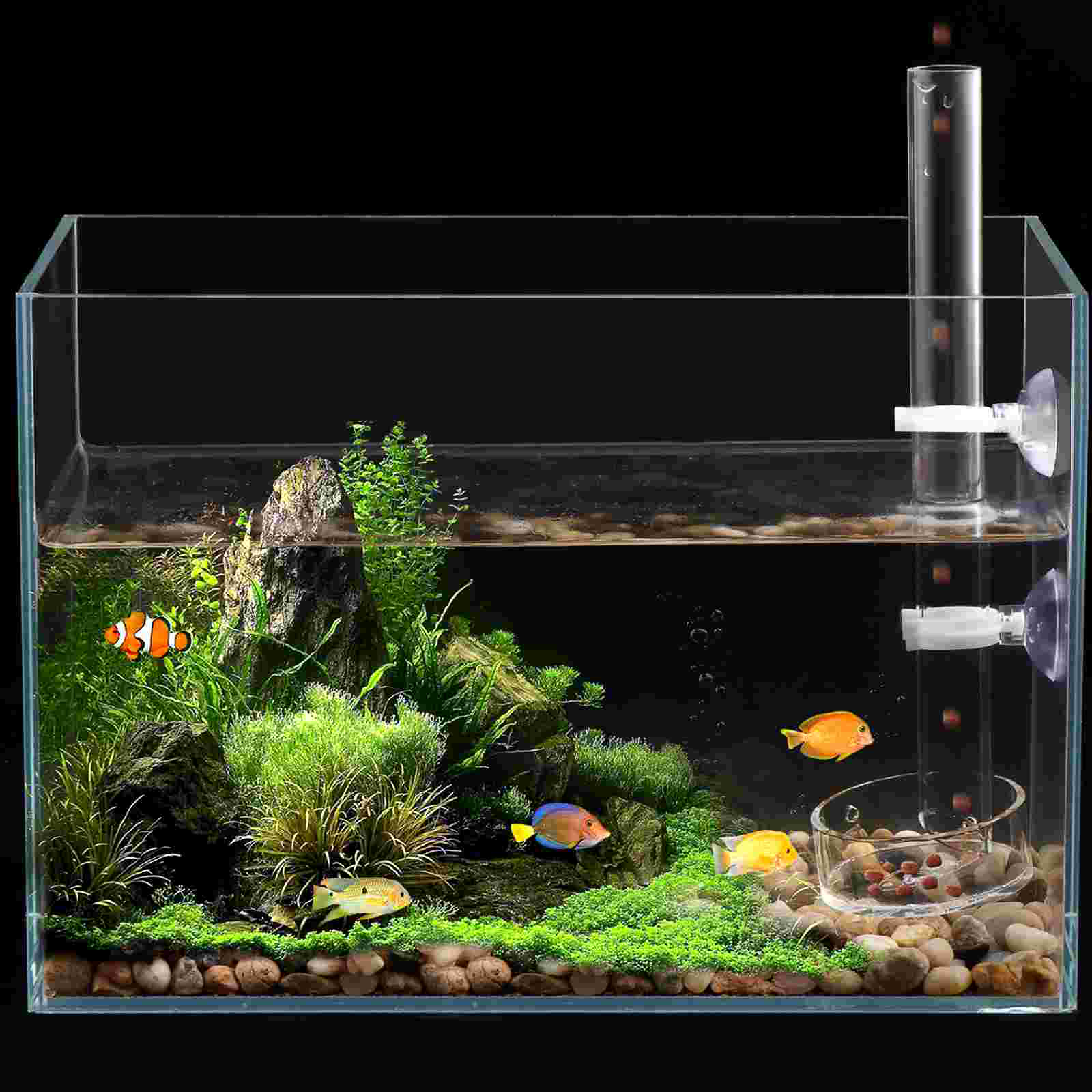 Fish Tunnel for Aquarium Tank with Lid Shrimp Dish Automatic Feeder Bowl Acrylic Feeding Tube Tray