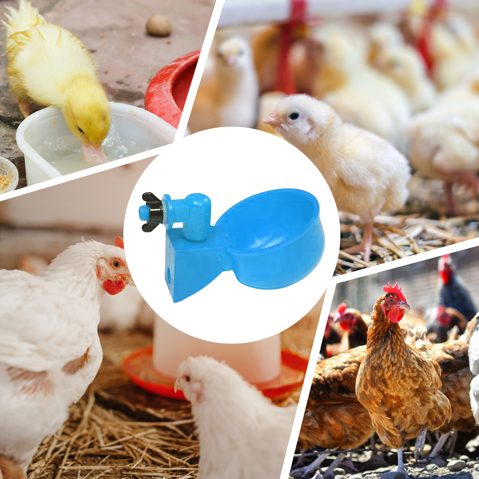 6pcs Poultry Feeder Drinker Hanging Automatic Chicken Water Dispenser Plastic Practical Convenient Tools for Farm Animal Feeding