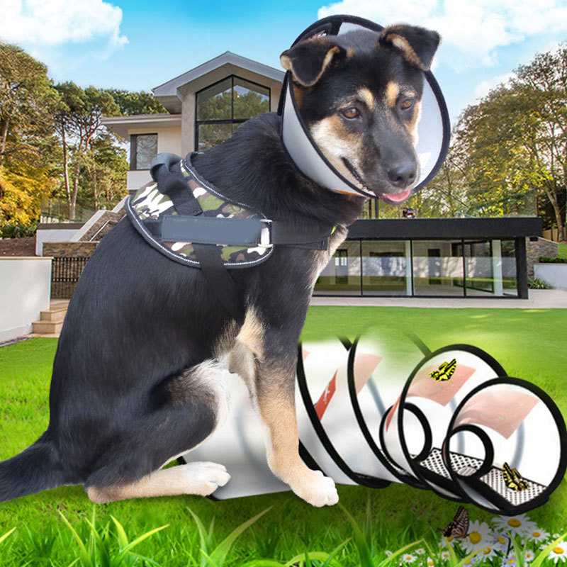 Cat Cone Elizabethan Collar Adjustable Recovery Anti-bite Ring Pet Cone Lightweight Plastic Collar Cats Mini Dog Rabbits Collars
