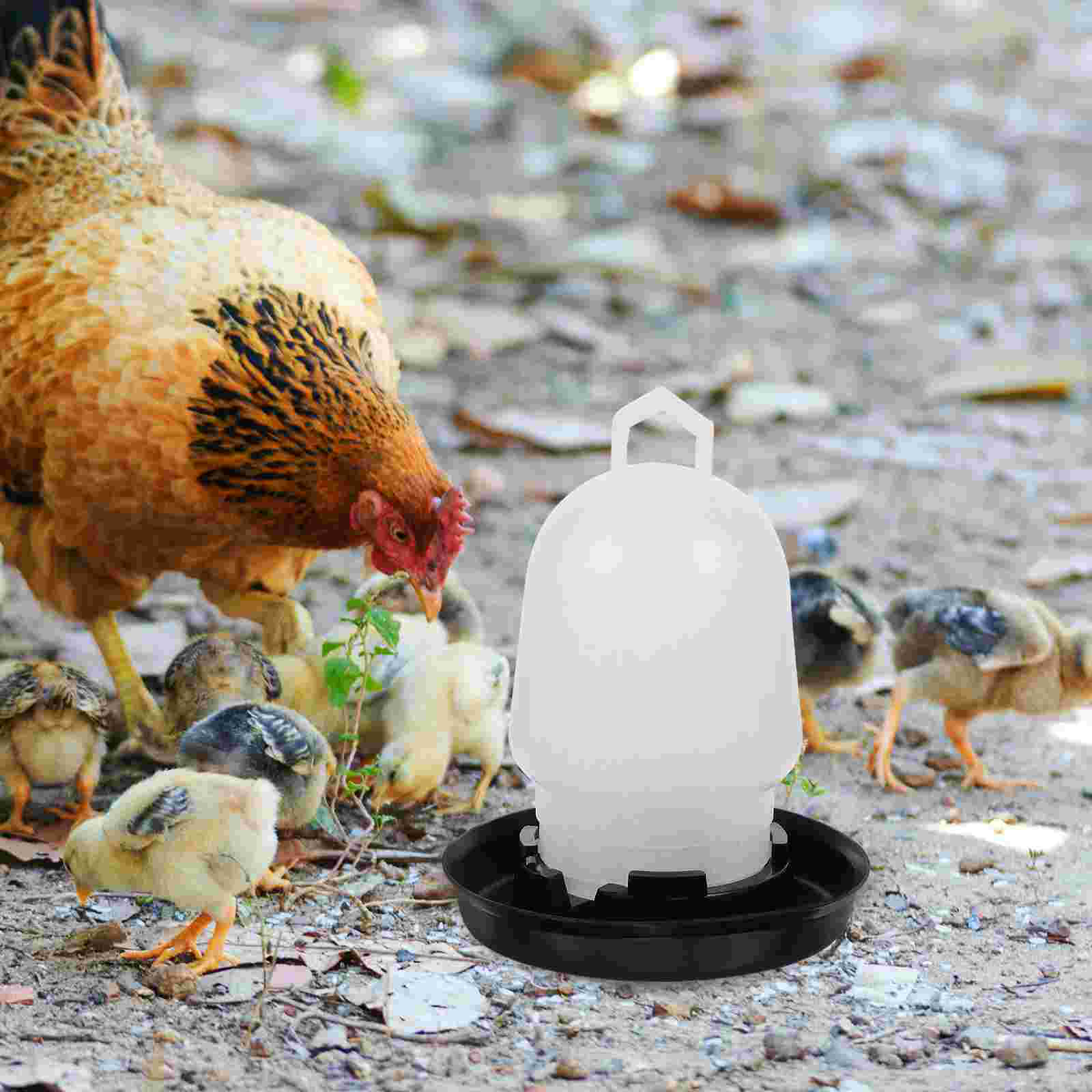 Water Goblets Automatic Chicken Waterer Watering Cups Food Feeder Trough Coop Poultry for