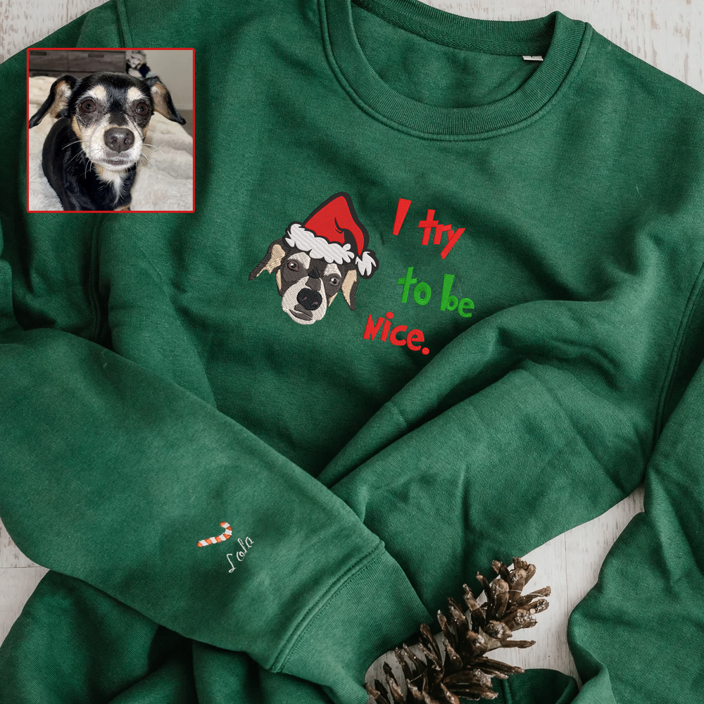Personalized Embroidered Christmas The Pet Dog Cat Hoodie Sweatshirt