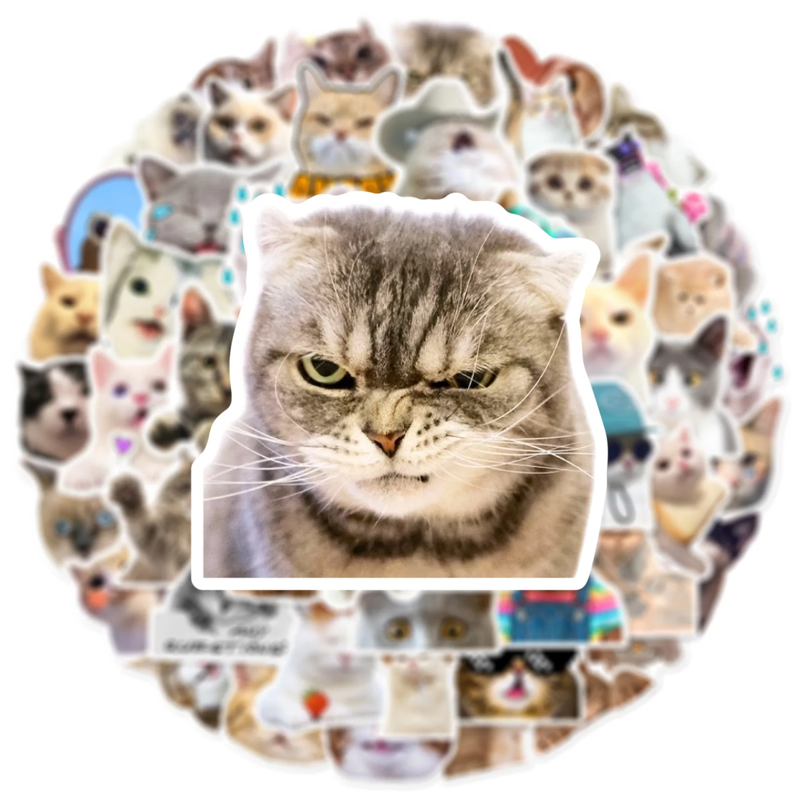 Funny Meme Cat 10/25/50pcs Stickers for DIY Decor Stationery Suitcase Water Bottle Phone Laptop Skateboard Scrapbooking smile
