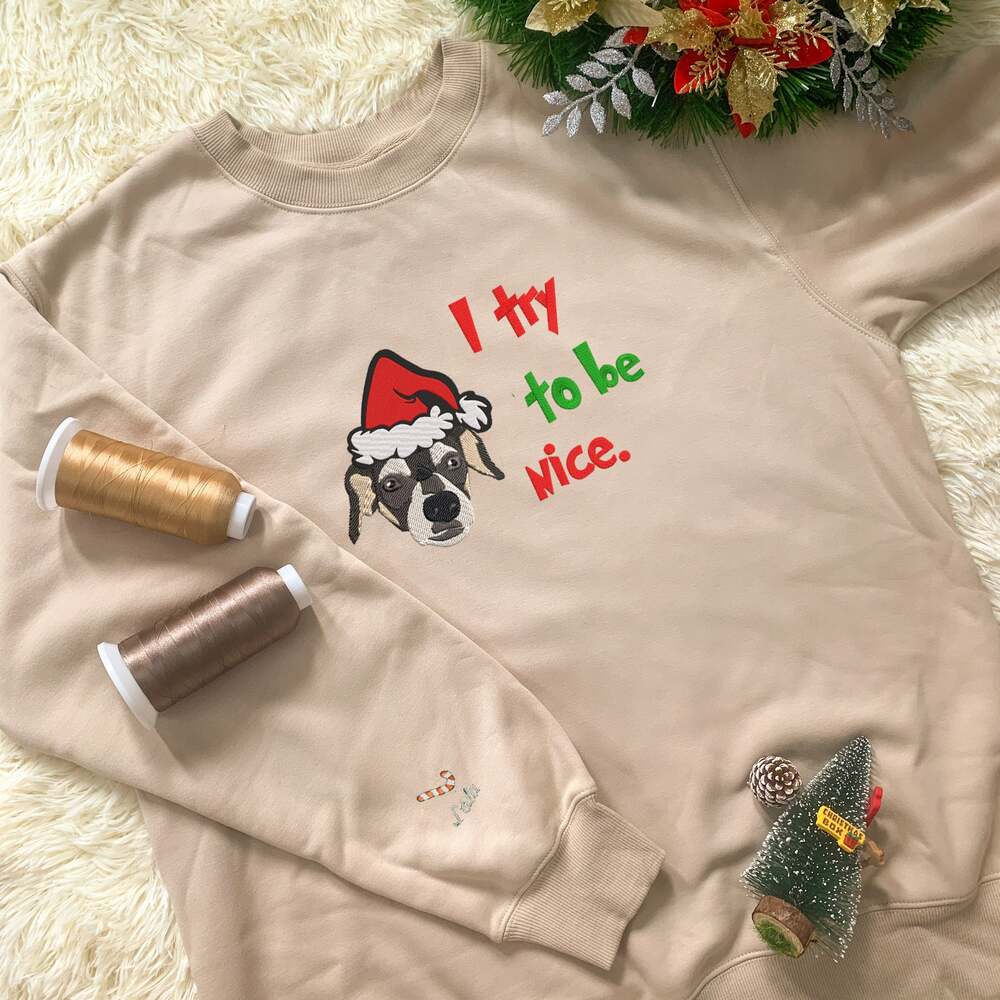 Personalized Embroidered Christmas The Pet Dog Cat Hoodie Sweatshirt