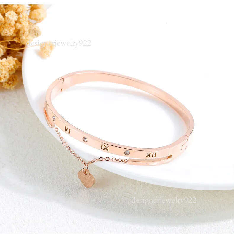 Fashion designer beautiful sparkg dia zircon heart charms bangle bracelet for woman girls 17 cm rose gold titanium steel