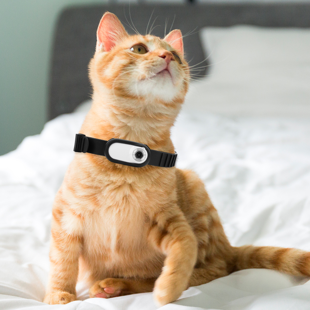 HD 1080P Sport/Action Camera No WiFi Needed Dog Cat Pet Camera Collar Security Camera with 32G Card for Cats Dogs Birthday Gift