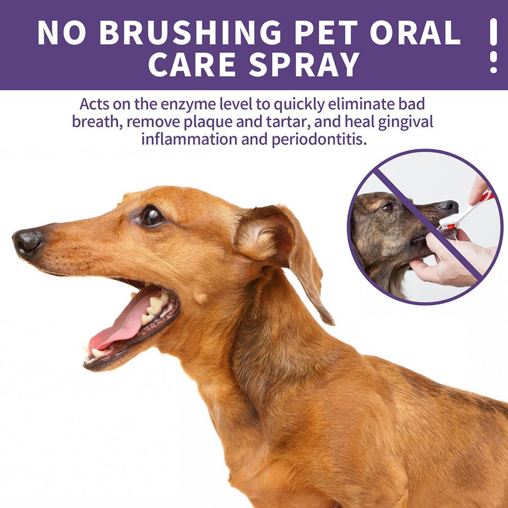50ml Dog Cat Tooth Cleaner Spray Pet Mouth Pet Cleaner Deodorant Breath Fresh Breath Freshening Spray Pet's Oral Cleanse Ke D5D4