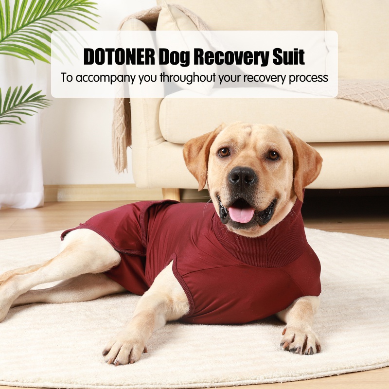 After Surgery Pet Recovery Shirt Recovery Suit for Dogs Cats Dog Abdominal Wounds Bandages Dog Onesie Prevent Licking Jumpsuits