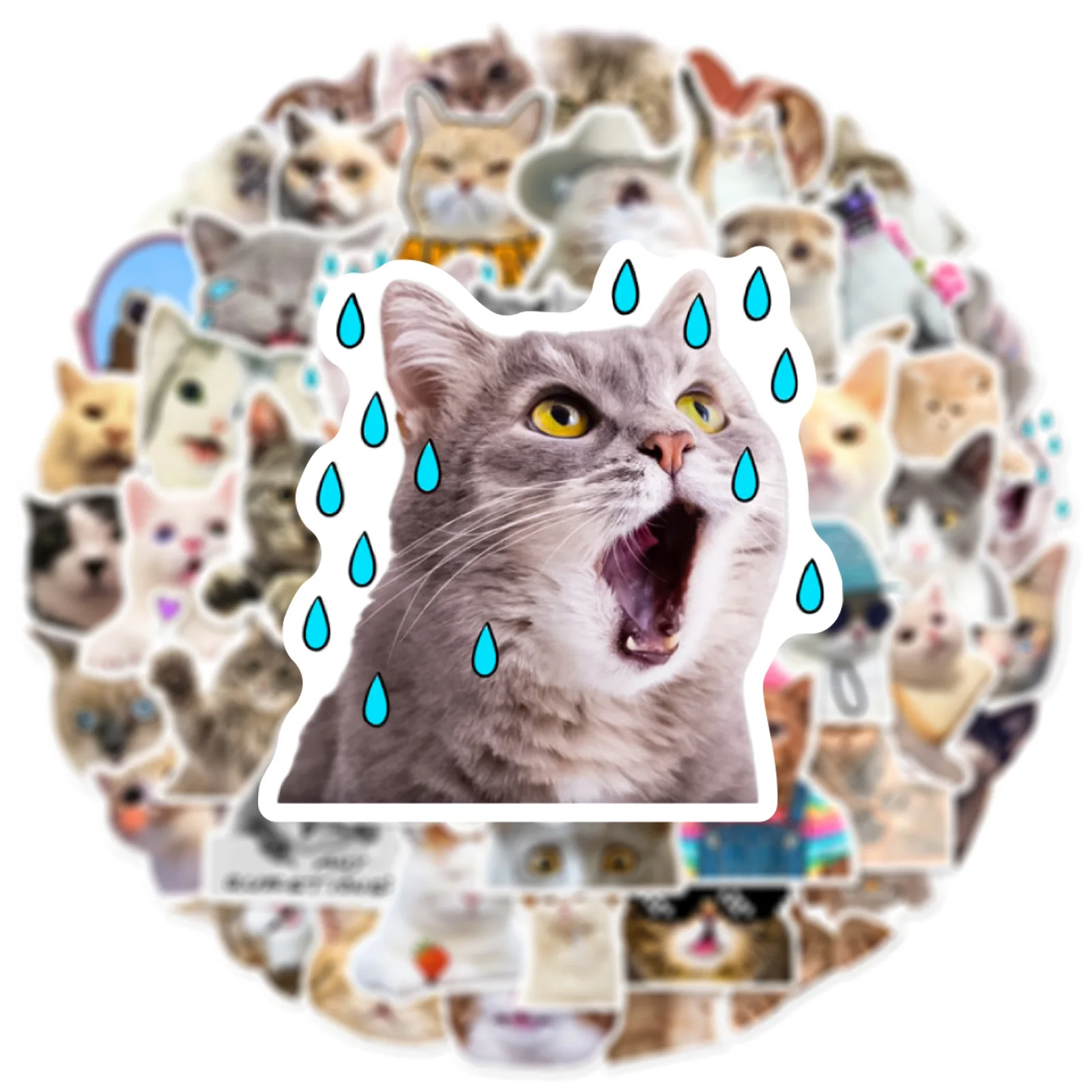 Funny Meme Cat 10/25/50pcs Stickers for DIY Decor Stationery Suitcase Water Bottle Phone Laptop Skateboard Scrapbooking smile