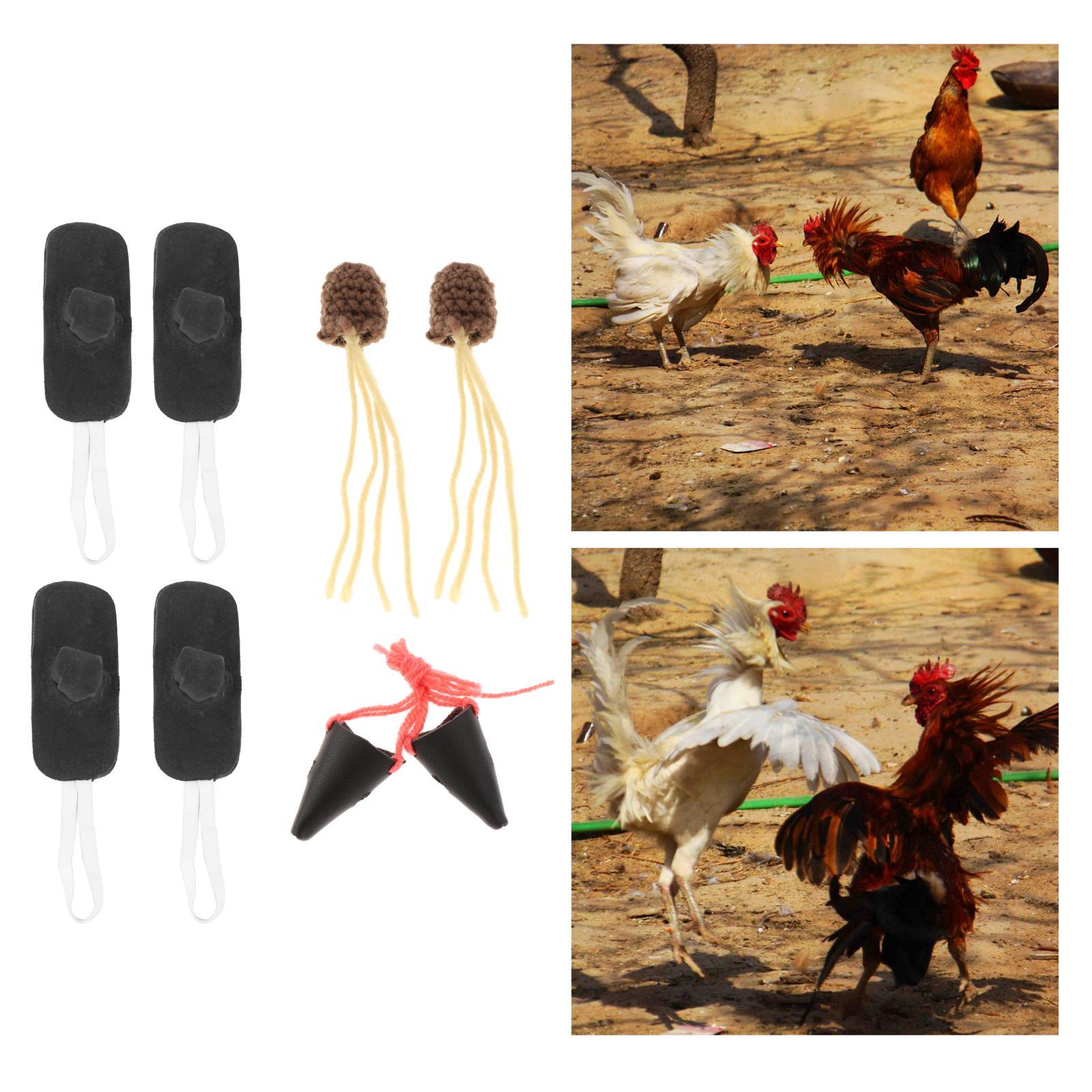 fighting Gamefowl Fighting Accessories Wrestling Farm Equipment Supplies Poultry Animals Fighting