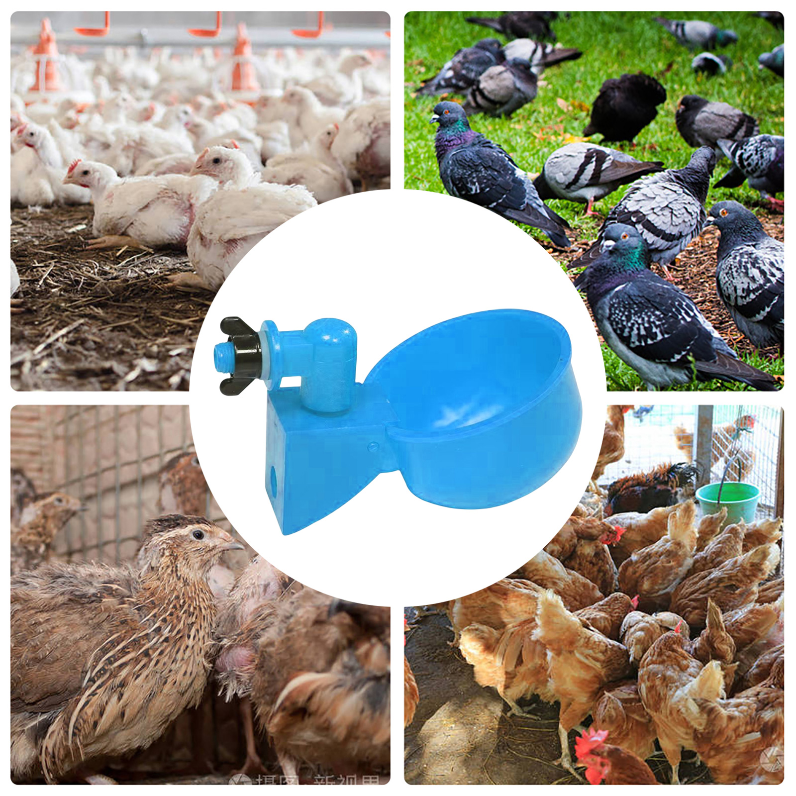 6pcs Poultry Feeder Drinker Hanging Automatic Chicken Water Dispenser Plastic Practical Convenient Tools for Farm Animal Feeding