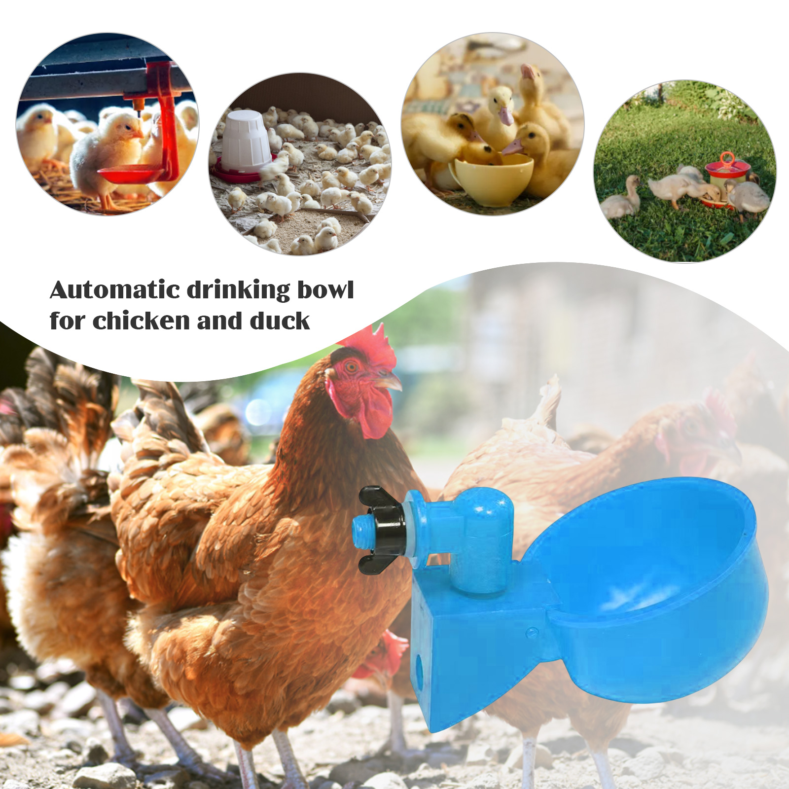 6pcs Poultry Feeder Drinker Hanging Automatic Chicken Water Dispenser Plastic Practical Convenient Tools for Farm Animal Feeding