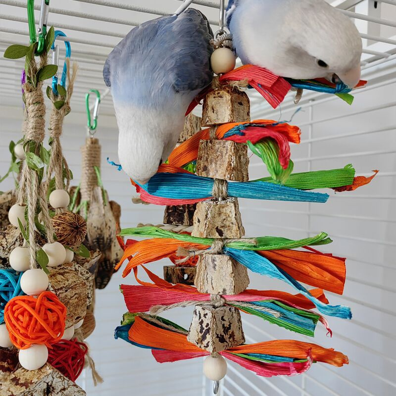 Colorful Hanging Parrot Bird Molar Toy Articles Parrot Bite Pet Bird Toy for Parrot Training Bird Cage Hanging Swing Biting Toys
