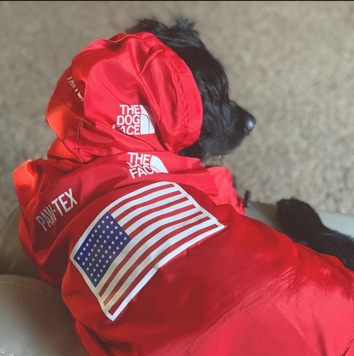 Dog Clothes Raincoat For Small Big Dogs Wind Coat Windbreaker French Bulldog Hoodie For Dogs Clothes Jackt Chihuahua Dog Face