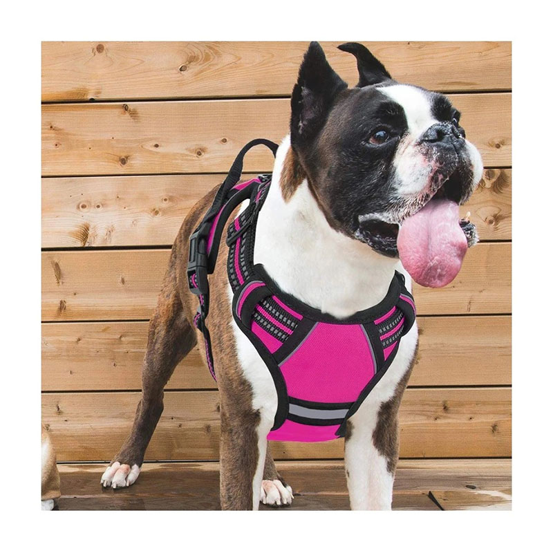 Cat and Dog Chest Strap Breathable Mesh Pet Chest Strap Soft and Comfortable Suitable for Small and Medium sized Pets to Wear Pet Supplies