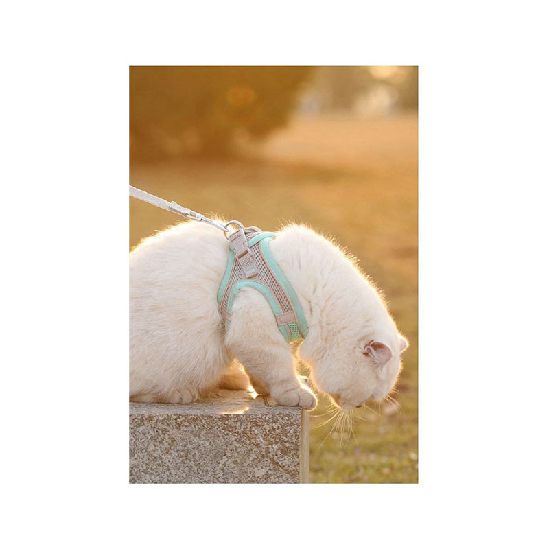 MADDEN Dog Cat Harness Vest Chest Rope Set Reflective Breathable Adjustable Pet Harness for Small Medium Dogs Outdoor Walking