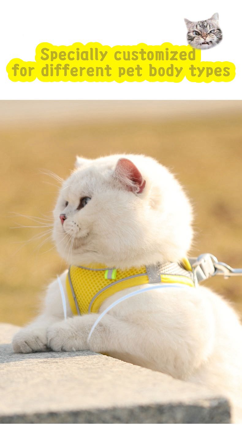 MADDEN Dog Cat Harness Vest Chest Rope Set Reflective Breathable Adjustable Pet Harness for Small Medium Dogs Outdoor Walking