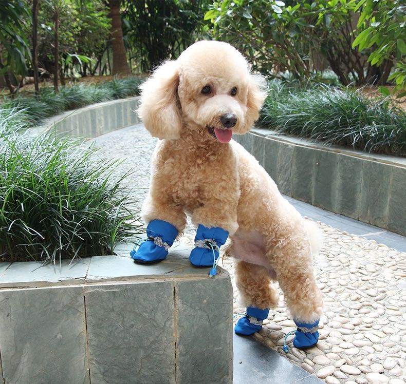 4pcs/set Waterproof Pet Dog Shoes Anti-slip Rain Boots Footwear for Small Cats Dogs Puppy Dog Pet Booties Pet Paw Accessories
