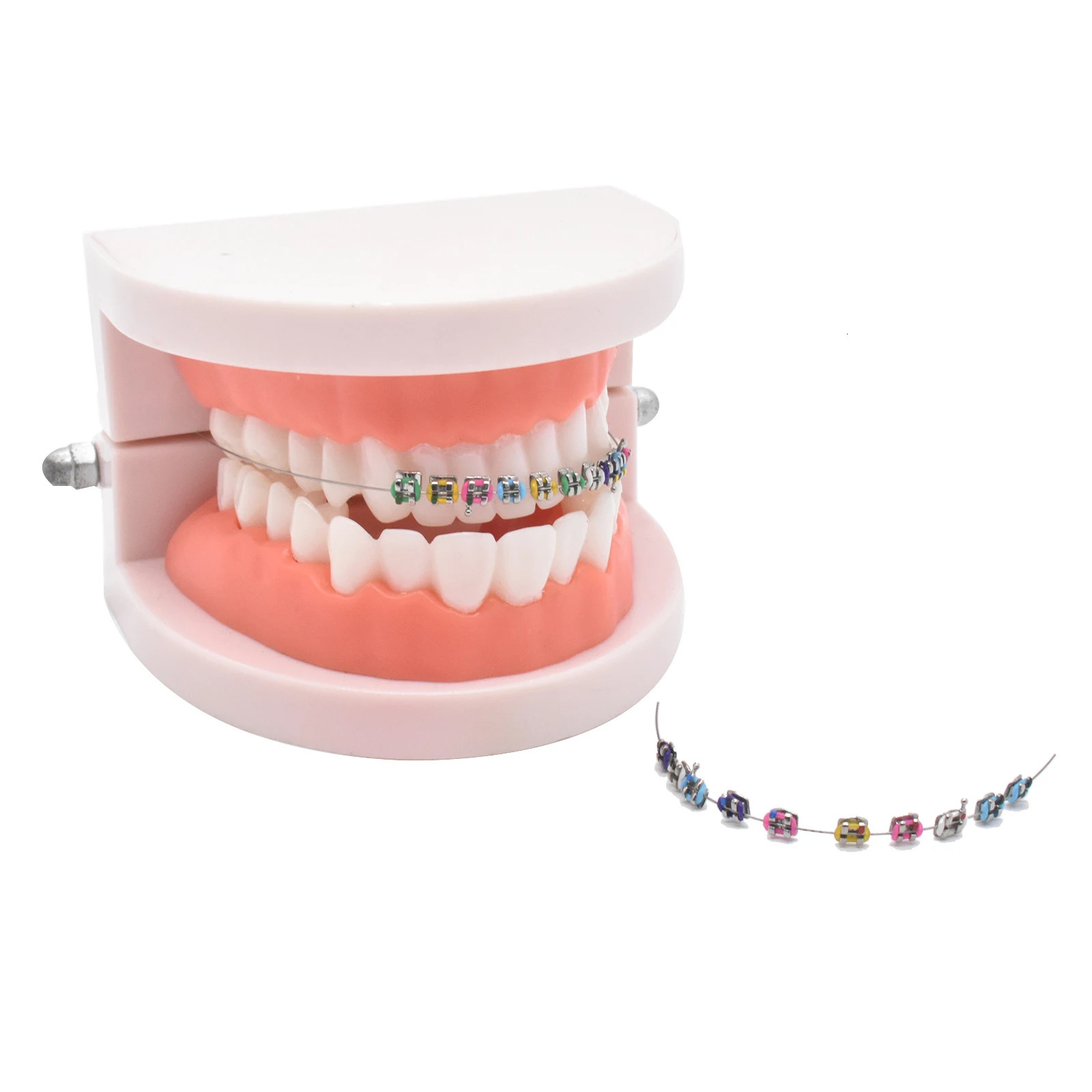 1Pack Temporary Tooth Decoration with Metal WiresMetal Bracket and Orthodontic Ligature TiesPractice Props for Dental Students 240412