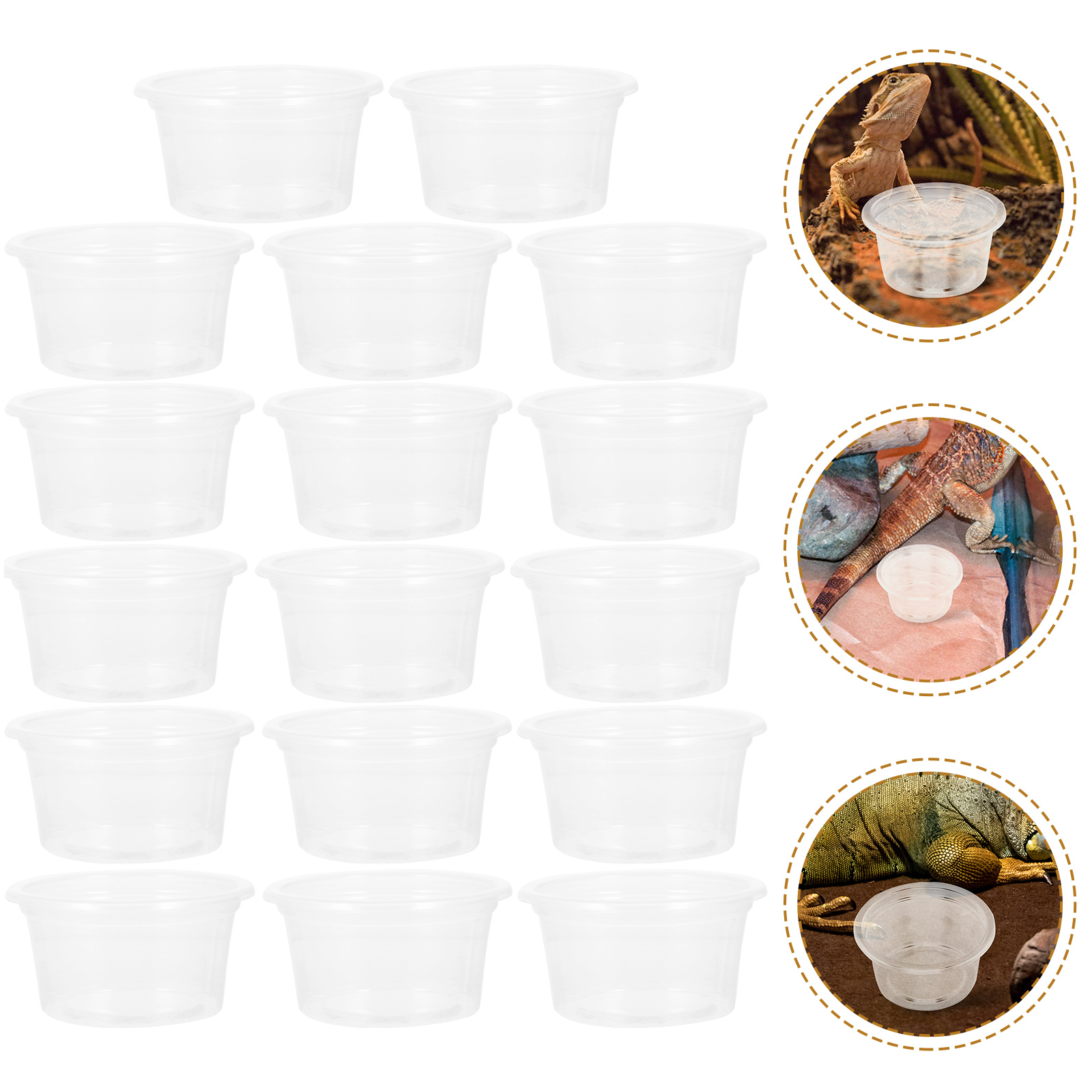20 Pcs Reptile Water Box Animal Reusable Dish Bowl Tank Plastic Convenient Compact Household Transparent Daily Food Cup