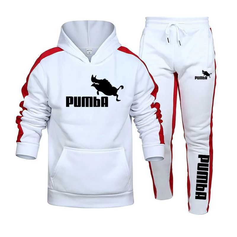 Mens Autumn and winter mens sportswear printed hooded sweatshirt sports pants 2-piece set gym jogging set hot selling casual sportswear X241113