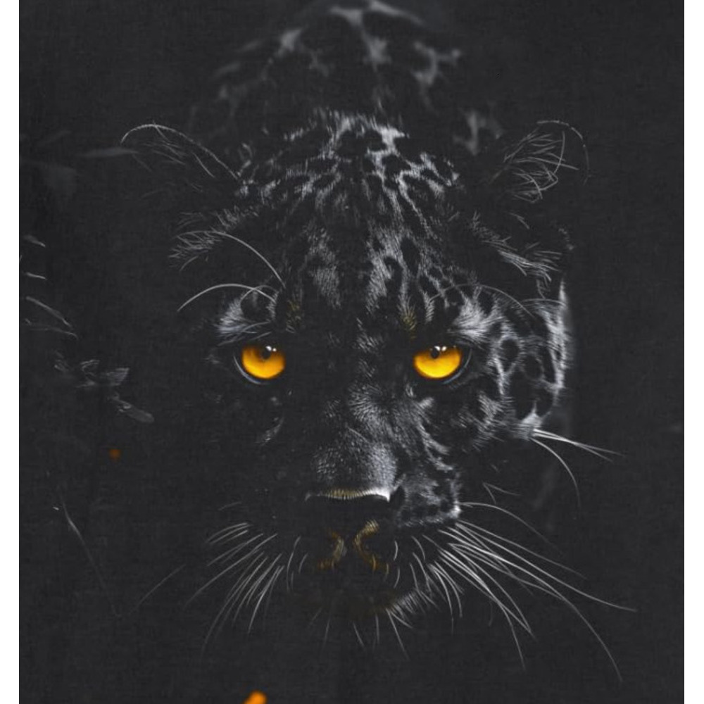 Long Sleeve Shirts for Men sweatshirt Leopard Wildlife Animal Wildcat Cat Graphic Tees Sweatshirt T shirt Tee Streetwear Casual tops clothes