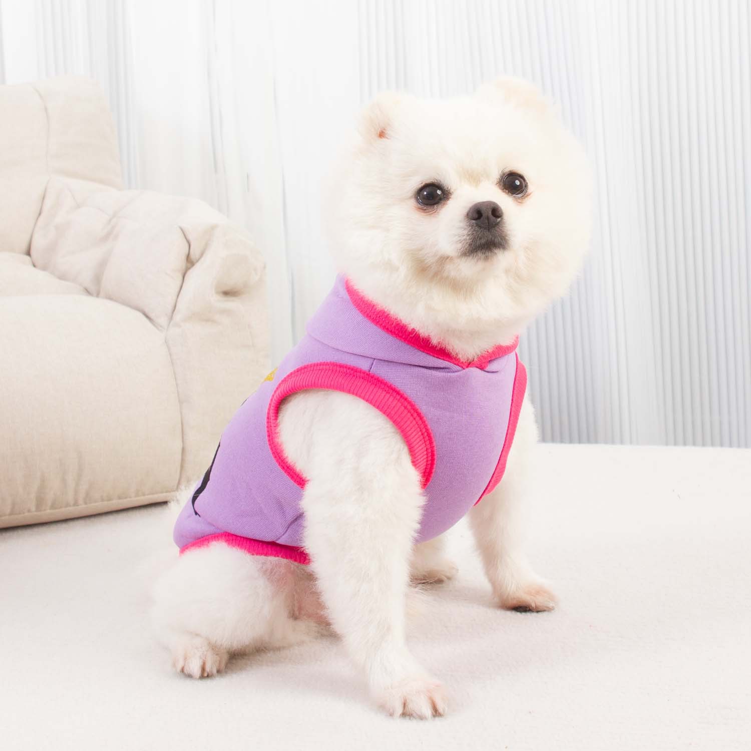New Designer Dog Clothes Autumn Winter Dog Hoodie Hat Stock Small Dog Apparel Cotton Pink Purple