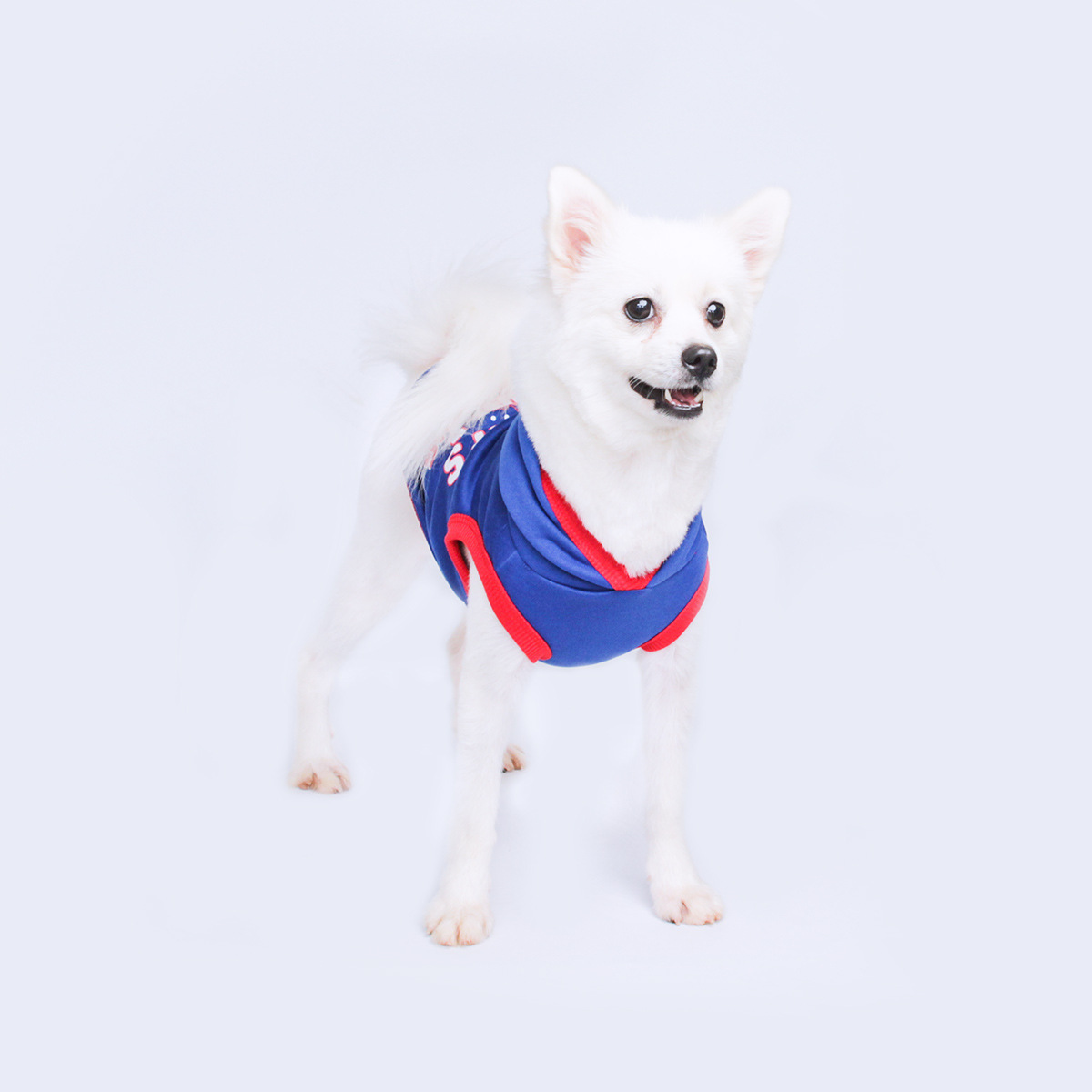 Fashion Design Printing Letter Dog Hoodie No Sleeves Autumn Winter New Dog Clothes