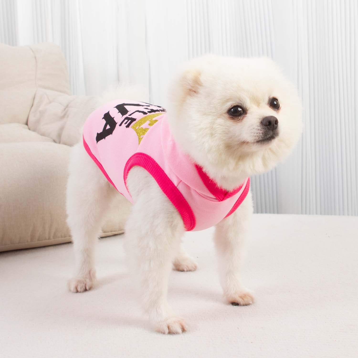 New Designer Dog Clothes Autumn Winter Dog Hoodie Hat Stock Small Dog Apparel Cotton Pink Purple