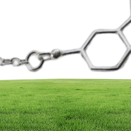 1 chemical molecular structure pendant necklace formula 5HT geometric exquisite nurse simple Lucky woman mOTHER men039s family