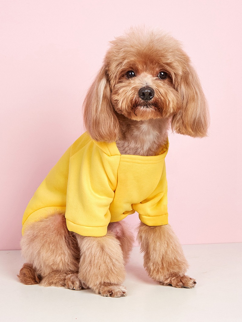 Pet Bipod Sports Solid Color Pocket Zipper Dog Cat Corgi Bear Wear Hoodies Doggy Apparel