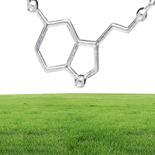 1 chemical molecular structure pendant necklace formula 5HT geometric exquisite nurse simple Lucky woman mOTHER men039s family