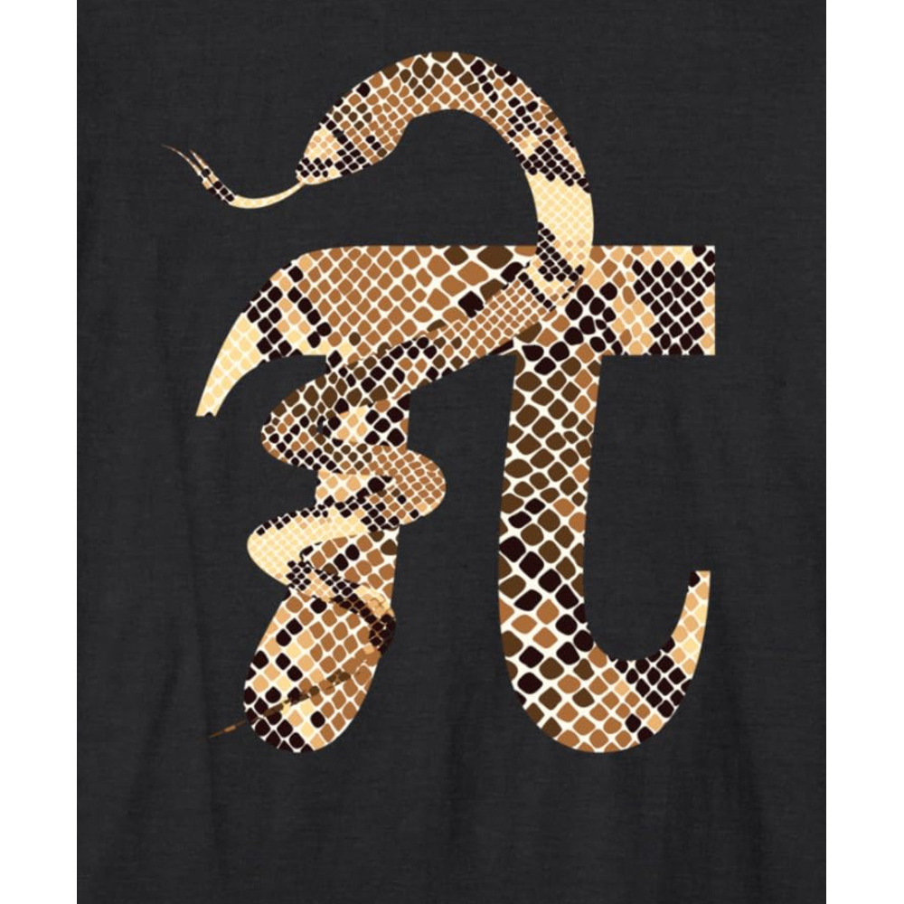 Long Sleeve Shirts for Men sweatshirt Pi Thon Snake Math Science Happy Pi Day Funny Gift Long Sleeve T-Shirt T shirt Tee Streetwear Casual tops clothe