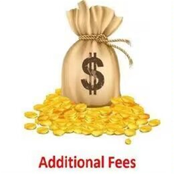 The payment link is used to purchase products that have not yet been listed in the store XS-5XL